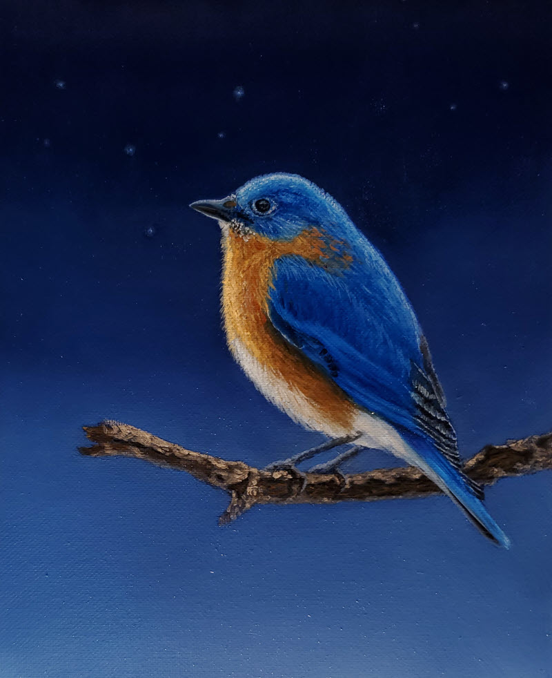 A Bluebird in my Heart, an oil painting by Alison Shepard
